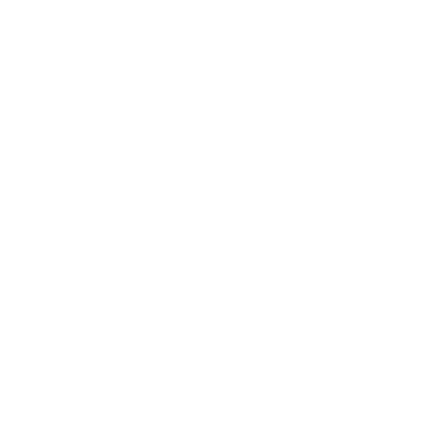Flowchart showing one rectangle going into three smaller ones. Module helps control operations over multi-branch organisations.